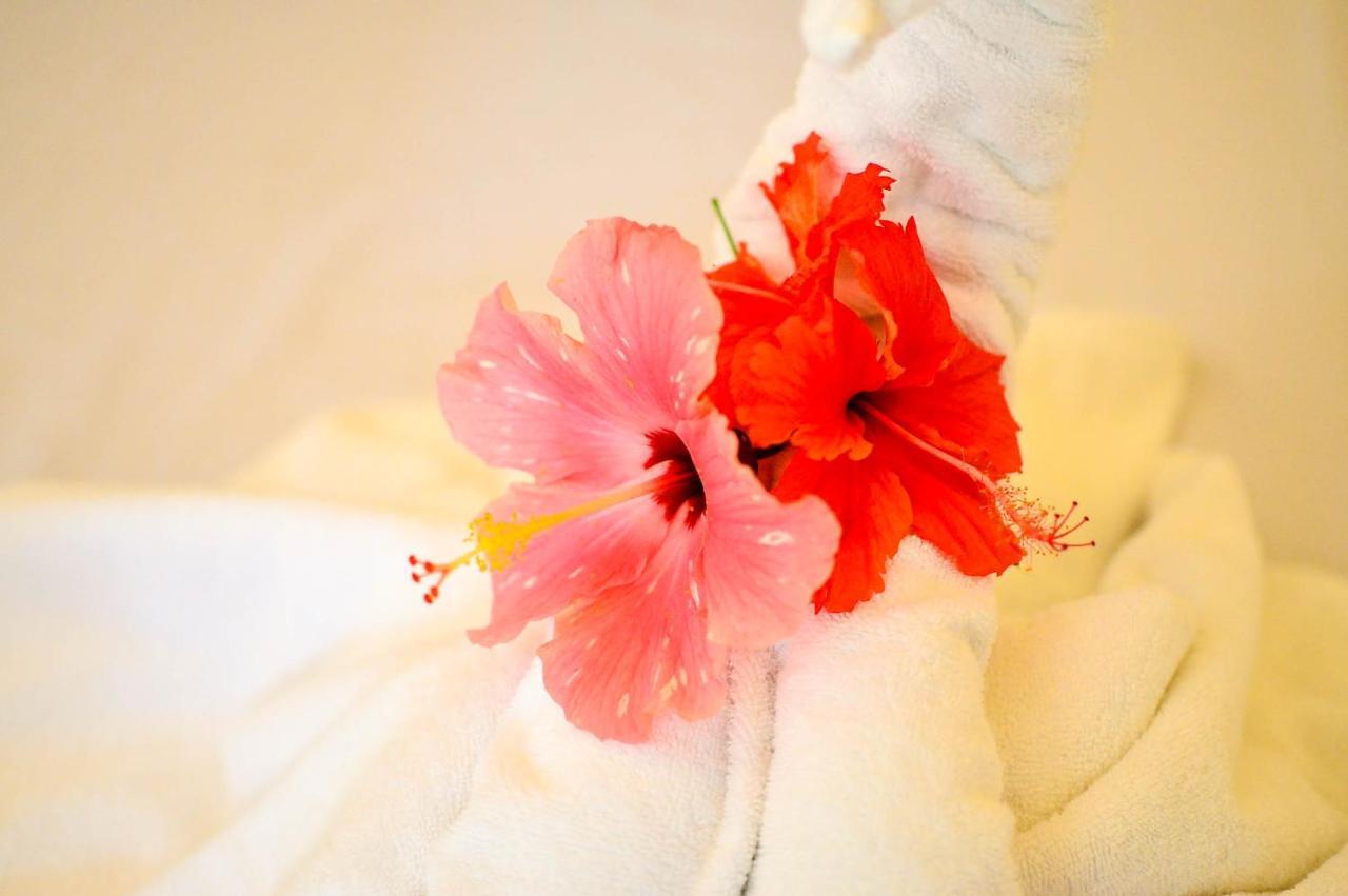 Camaya-An Paradise Beach Resort Malabugas 外观 照片